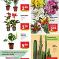 Antevisão Folheto LIDL Promoções de 3 a 9 maio